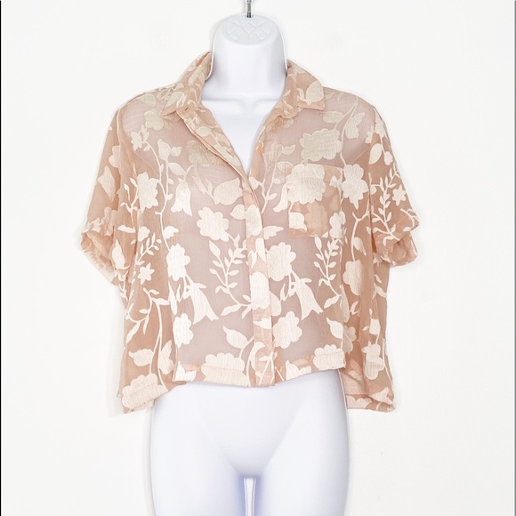 Topshop Tops - Topshop Women's Sheer Light Coral Top